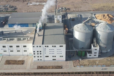 优化信息技术架构，推动张掖市企业数字化转型——张掖市工业和信息化局咨询服务解读